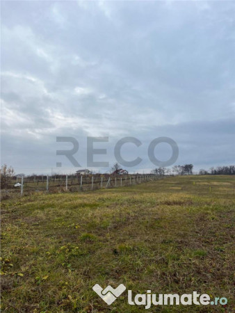 RECO Teren intravilan cu PUZ, la 4 minute de oras ,720 mp,Pa