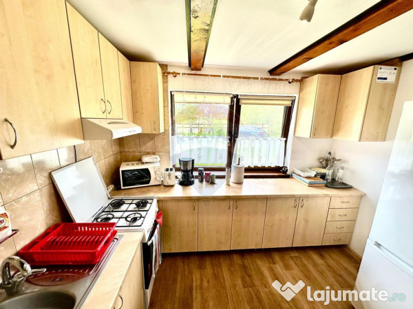 Pensiune/Cabana de vanzare, 6 camere, in Belis, Balcesti