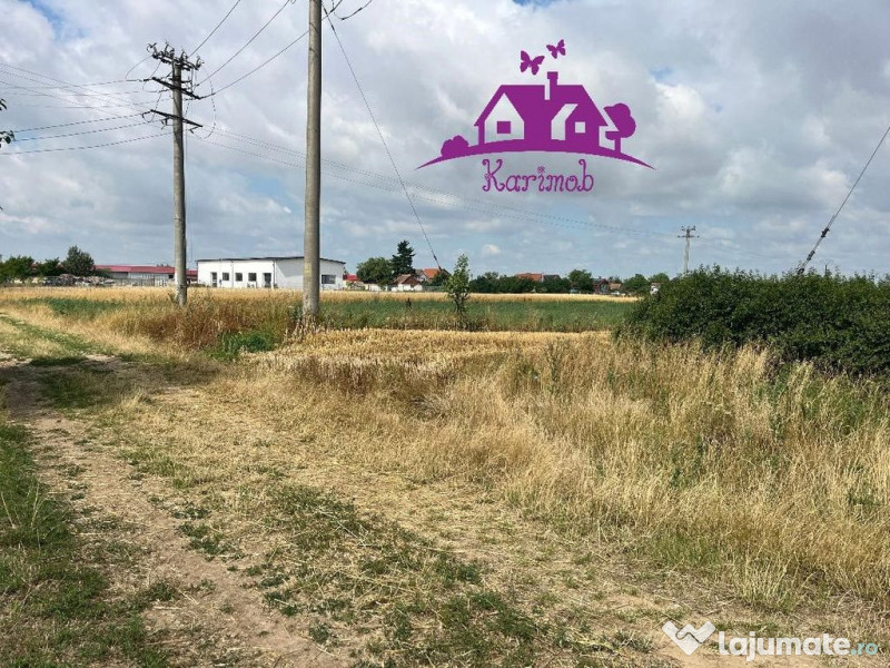 Teren la intrare in localitatea Gepiu 