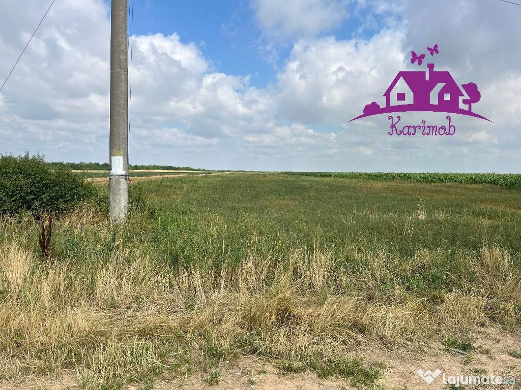 Teren la intrare in localitatea Gepiu 