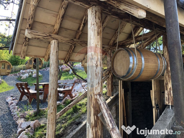 Pensiune cu 15 unități de cazare în Mediaș