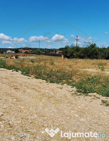 Teren 500 mp intravilan Smeura Stoenari - 4 loturi