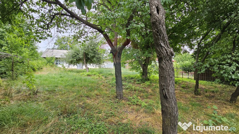 Casa de vânzare cu teren 9200 mp, Pădureni-Șendriceni,... 