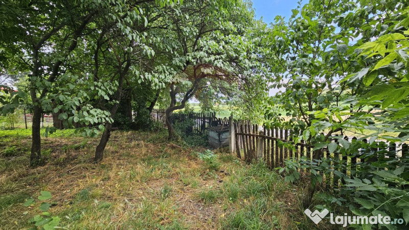 Casa de vânzare cu teren 9200 mp, Pădureni-Șendriceni,... 