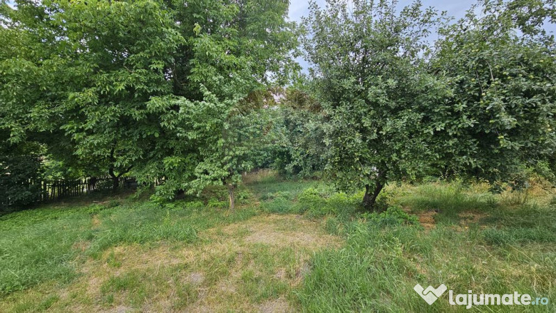 Casa de vânzare cu teren 9200 mp, Pădureni-Șendriceni,... 