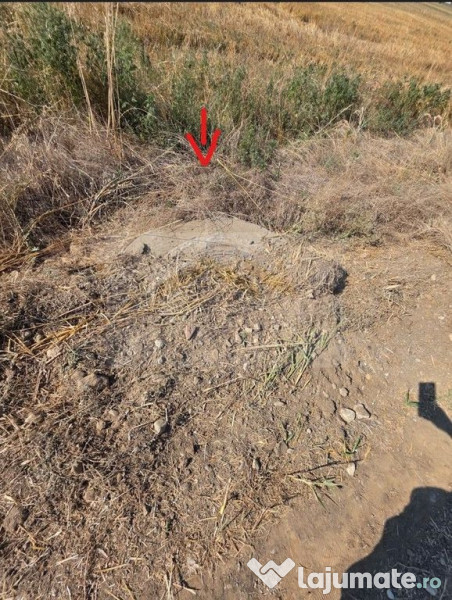 Teren intravilan 5.450 mp – Strada Castanilor, Ciorogâ...