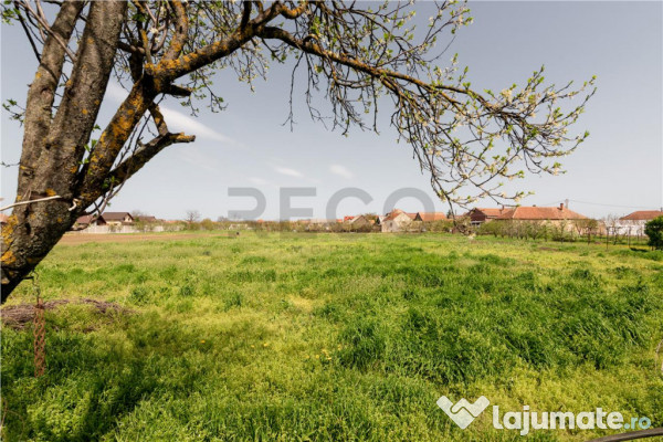 RECO casa cu teren generos in Santion 