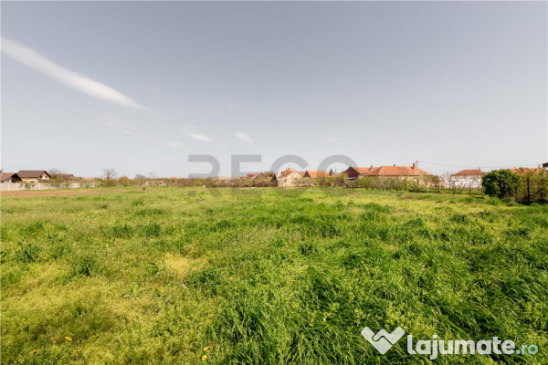 RECO casa cu teren generos in Santion 