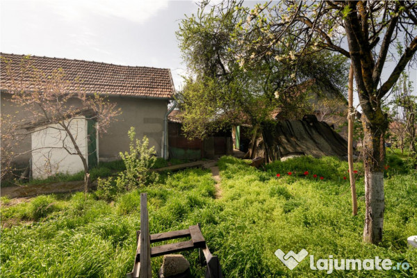 RECO casa cu teren generos in Santion 