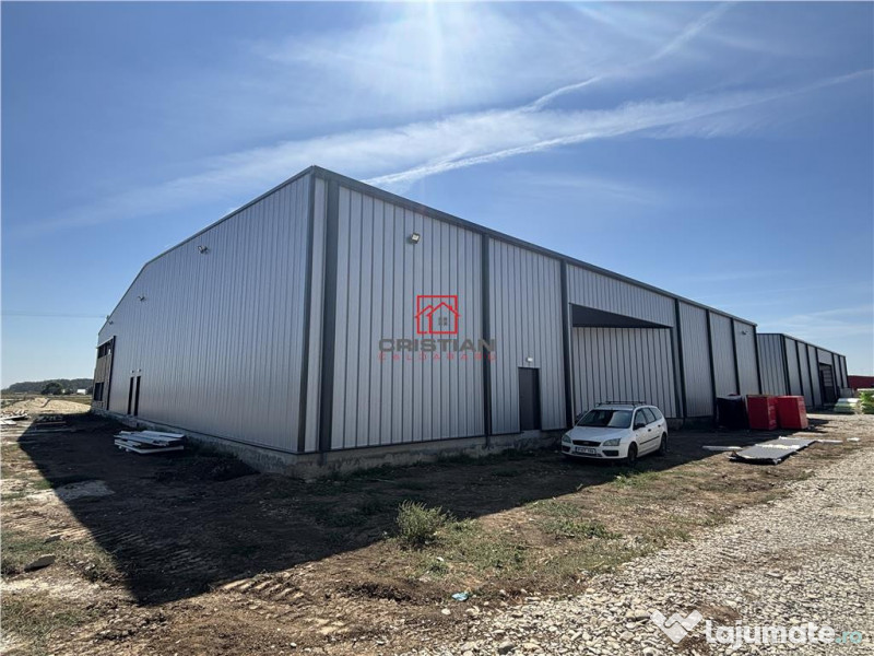 Depozit/hala/spatiu industrial Mogosoaia - Buftea 