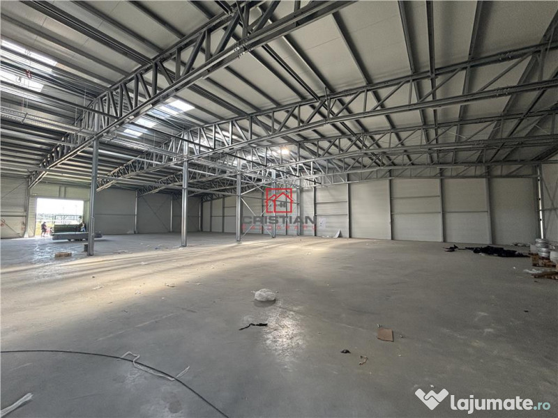 Depozit/hala/spatiu industrial Mogosoaia - Buftea 