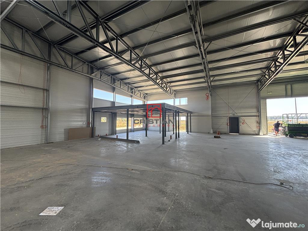 Depozit/hala/spatiu industrial Mogosoaia - Buftea