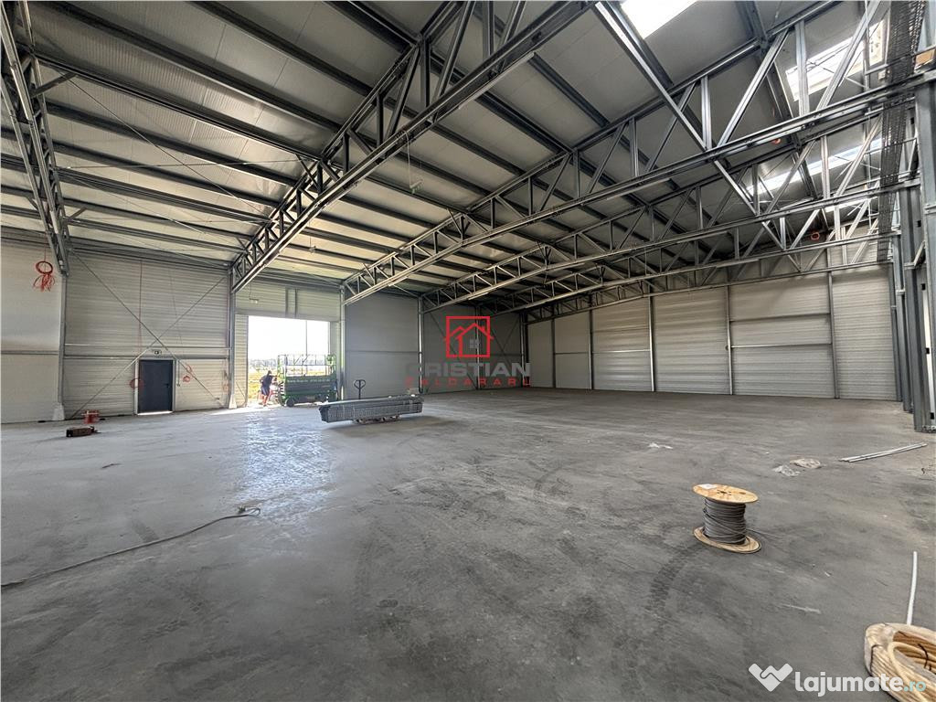 Depozit/hala/spatiu industrial Mogosoaia - Buftea