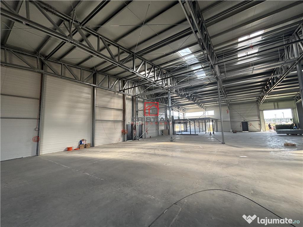 Depozit/hala/spatiu industrial Mogosoaia - Buftea