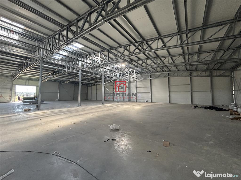 Depozit/hala/spatiu industrial Mogosoaia - Buftea