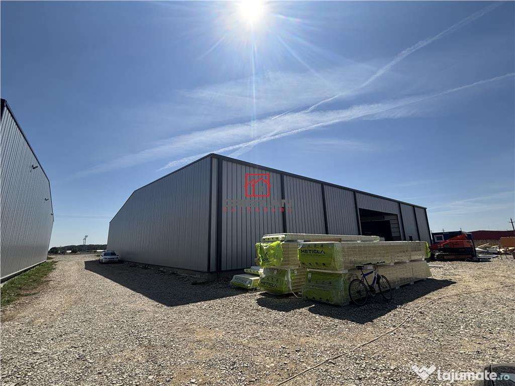 Depozit/hala/spatiu industrial Mogosoaia - Buftea
