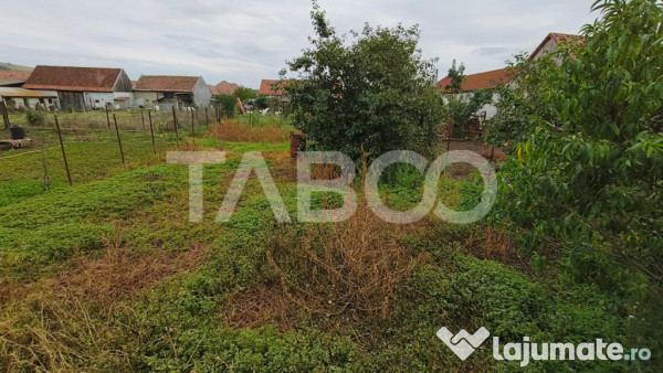 Casa de vanzare cu 4 camere in Drasov judetul Alba 