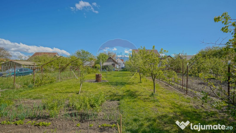 Spatiu Comercial/Afacere si casa de vânzare/zarnesti/Brasov 