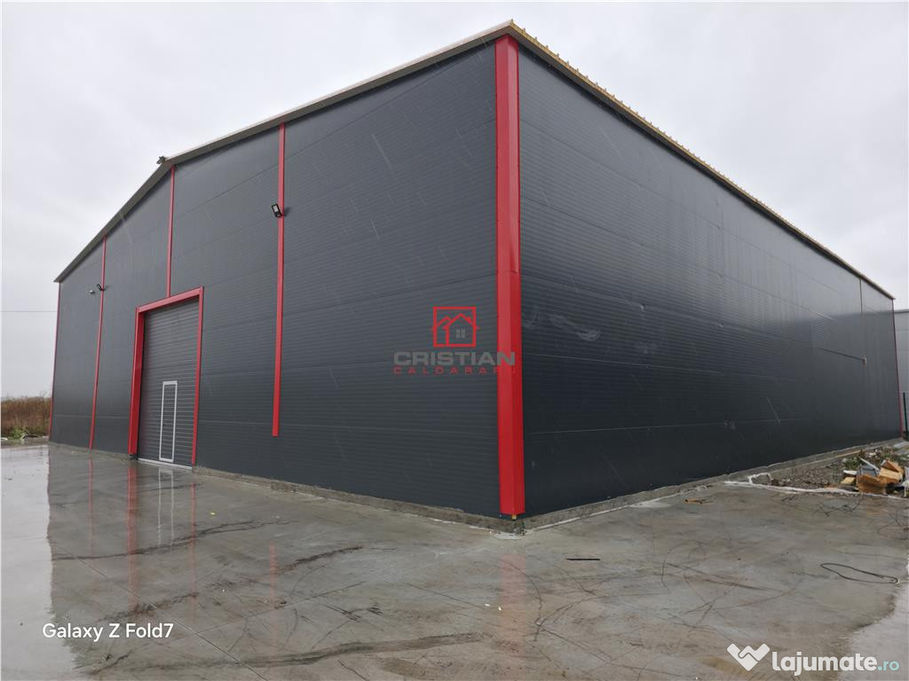 Depozit/hala/spatiu industrial Theodor Pallady - Gara Catel 