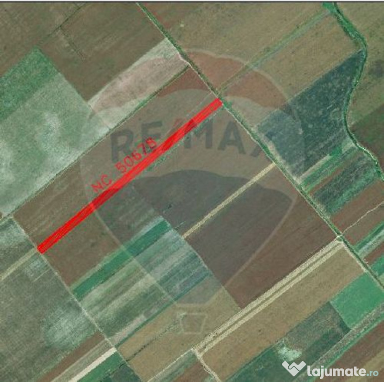 Teren 22,269mp Nuci / Strada principala 