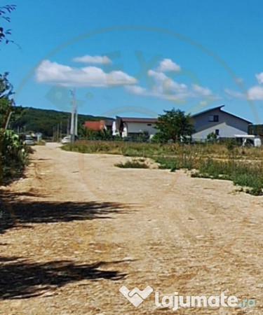 Teren 500 mp intravilan Smeura Stoenari - 4 loturi 