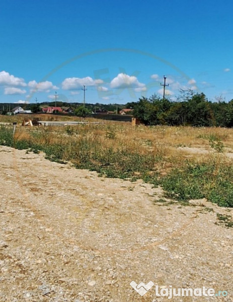Teren 500 mp intravilan Smeura Stoenari - 4 loturi 