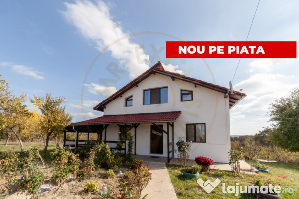 Casa P+M cu teren 2788 mp COCU -RACHITELE ARGES 