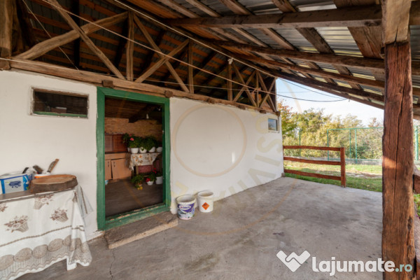Casa P+M cu teren 2788 mp COCU -RACHITELE ARGES 