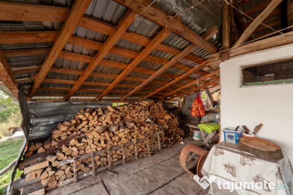 Casa P+M cu teren 2788 mp COCU -RACHITELE ARGES 