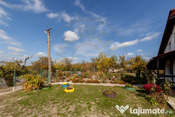 Casa P+M cu teren 2788 mp COCU -RACHITELE ARGES 
