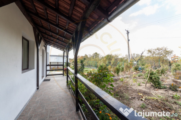 Casa P+M cu teren 2788 mp COCU -RACHITELE ARGES 