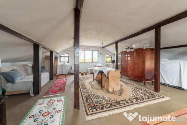 Casa P+M cu teren 2788 mp COCU -RACHITELE ARGES 