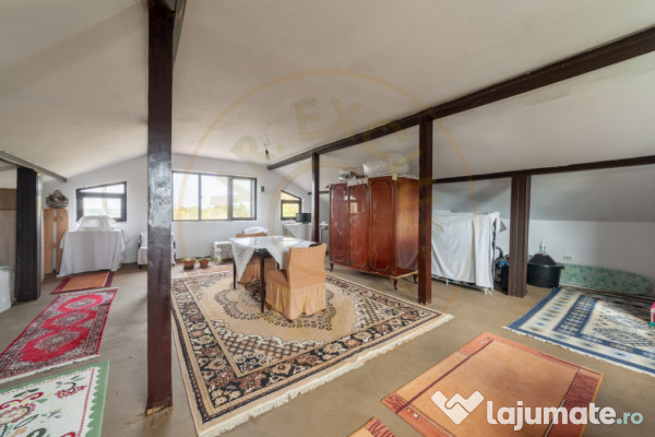 Casa P+M cu teren 2788 mp COCU -RACHITELE ARGES 