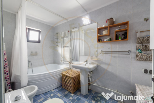 Casa P+M cu teren 2788 mp COCU -RACHITELE ARGES 