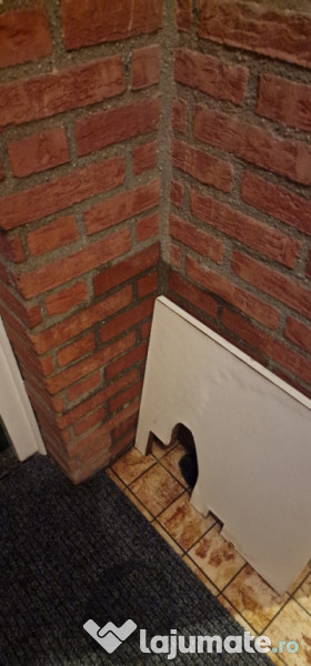 Suport biciclete Montblanc si Vw carrier. 