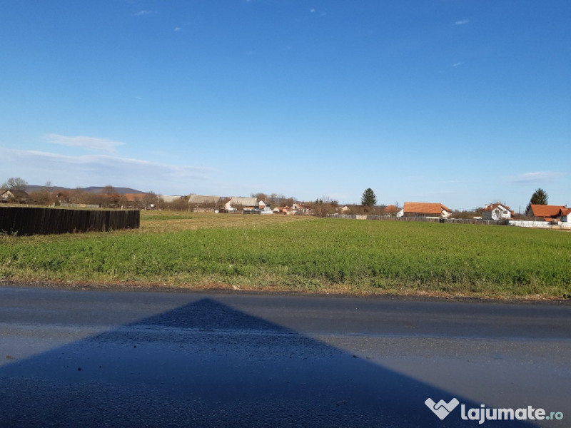 Teren intravilan central utilitati construibil Lunca Calnicului 2325mp. 