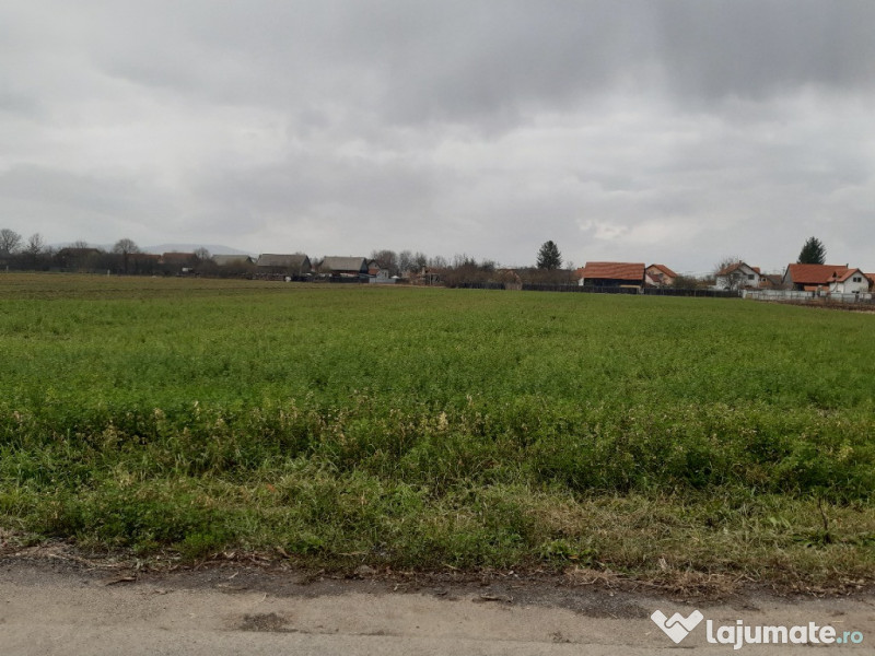 Teren intravilan central utilitati construibil Lunca Calnicului 2325mp. 