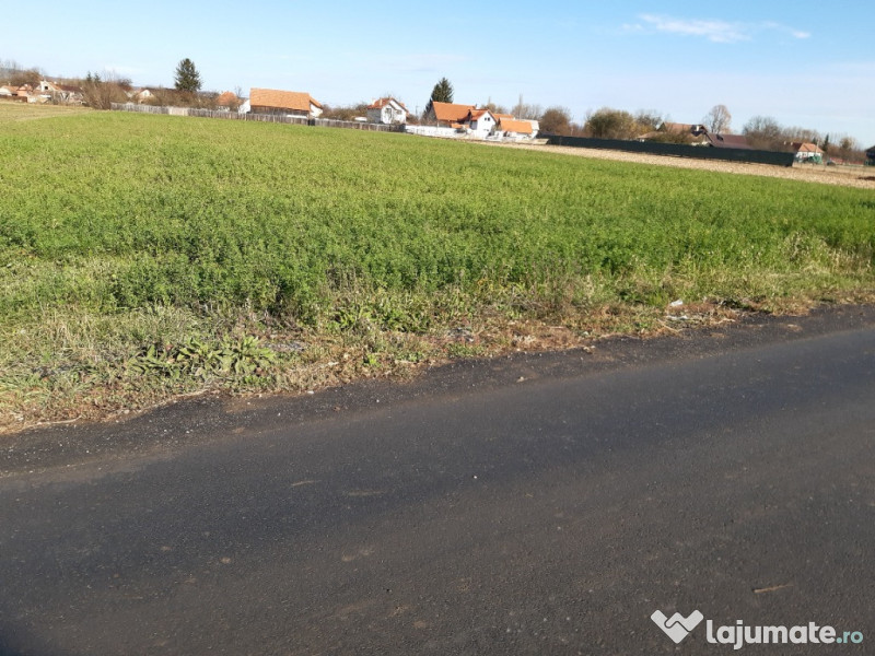 Teren intravilan central utilitati construibil Lunca Calnicului 2325mp. 