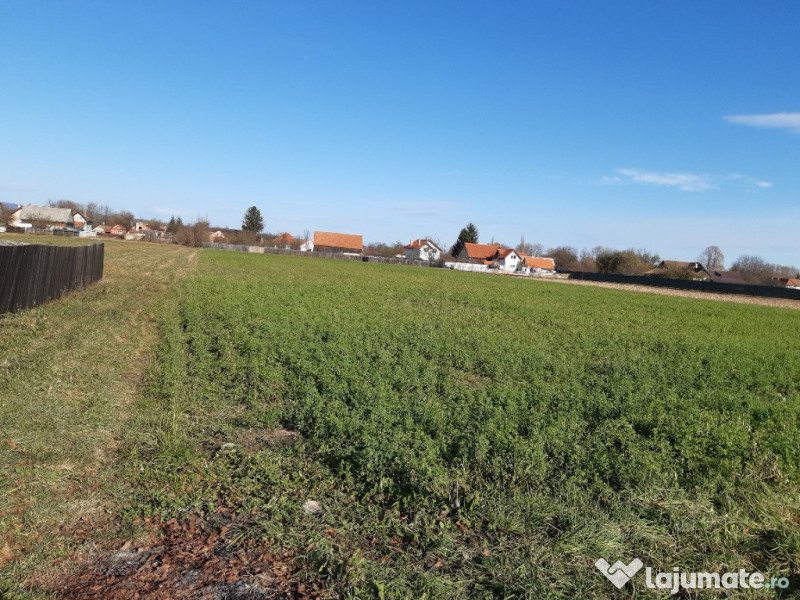 Teren intravilan central utilitati construibil Lunca Calnicului 2325mp. 