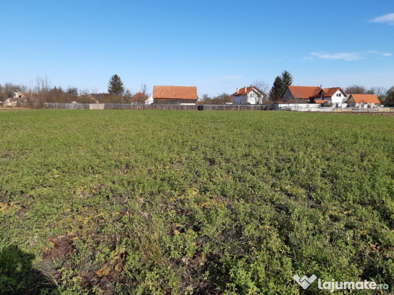 Teren intravilan central utilitati construibil Lunca Calnicului 2325mp. 