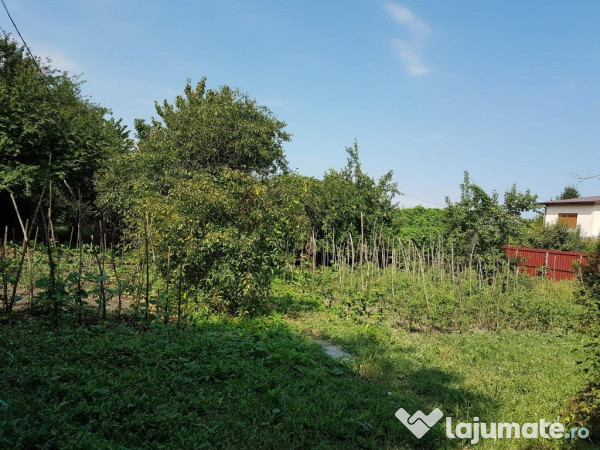 Casa si spatiu comercial in Singureni, Giurgiu