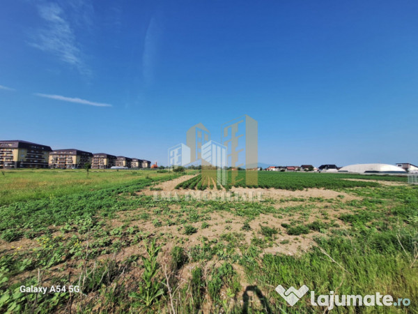 Teren Sanpetru Brasov 