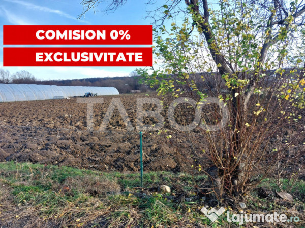 Teren intravilan 1687 mp pentru cabana zona de gradini Cisna