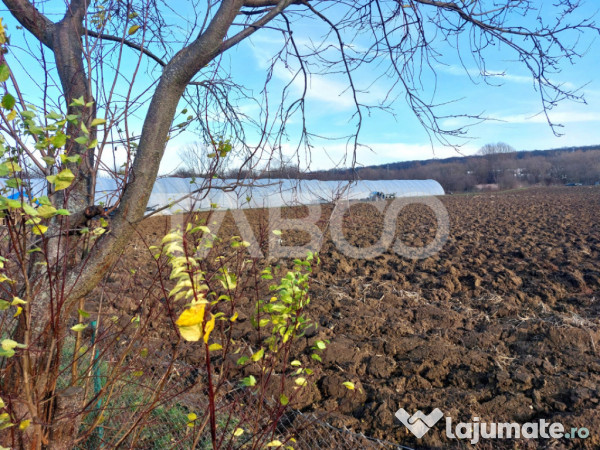 Teren intravilan 1687 mp pentru cabana zona de gradini Cisna
