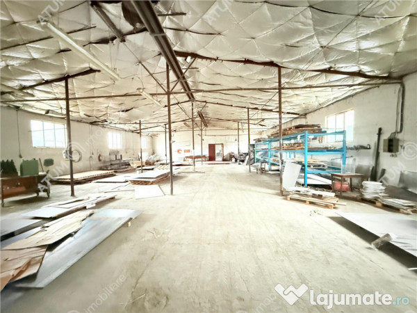 Hala industriala 1175 mp utili si birouri de in Cisnadie 