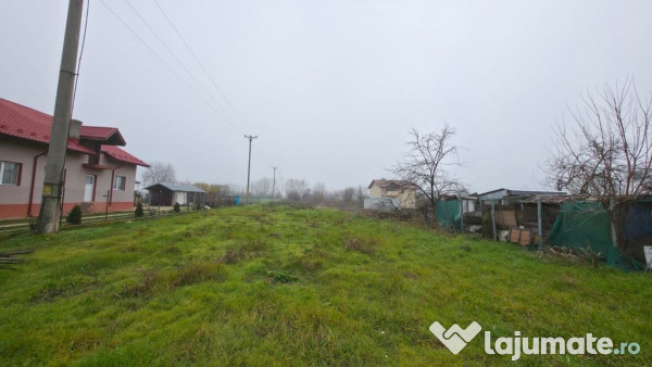 Teren intravilan de vânzare – Ciorogârla, Ilfov 