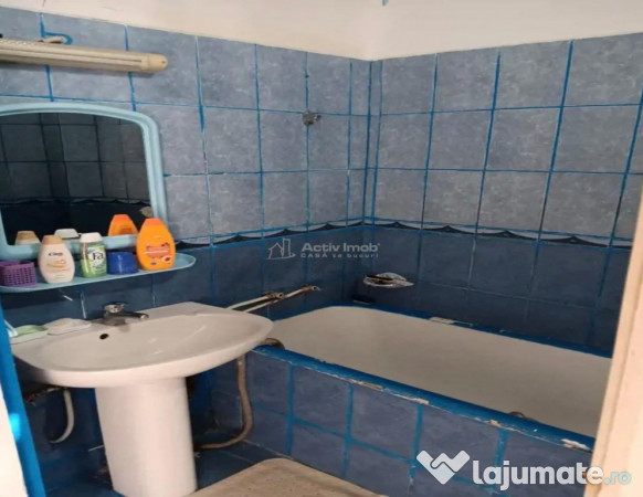 2 cam - la curte comuna 