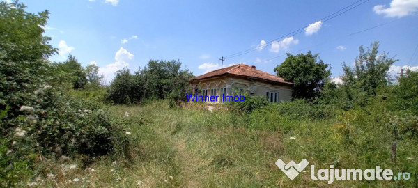 Vanzare Casa Teren UDA Arges