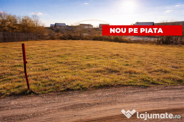 Teren 1262 m2 intravilan sau parcelat Smeura Stoenari Arges 