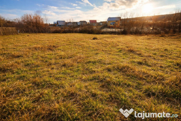 Teren 1262 m2 intravilan sau parcelat Smeura Stoenari Arges 